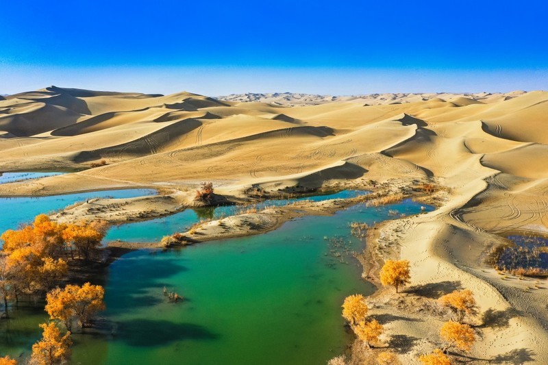 外出随拍（757）.