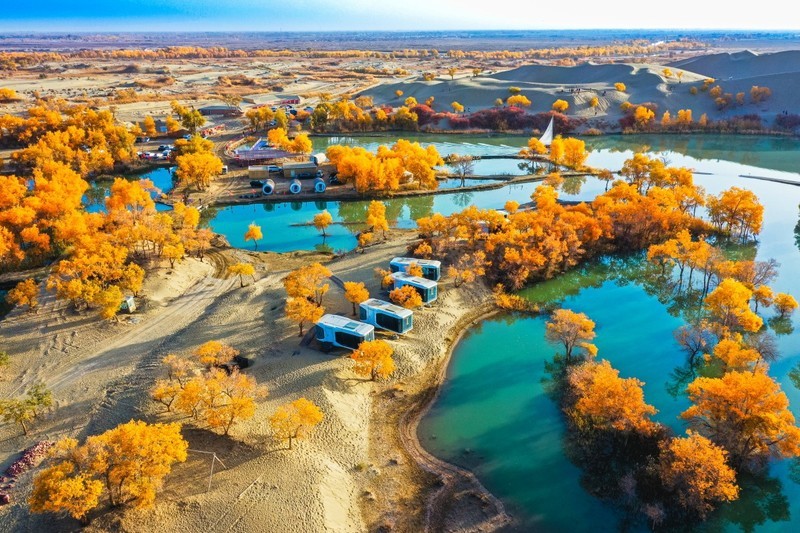 外出随拍（757）.