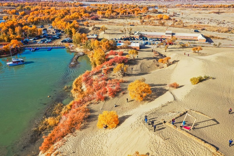 外出随拍（757）.