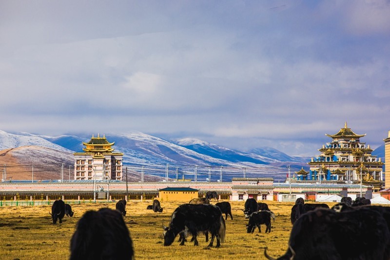 外出随拍（758）.