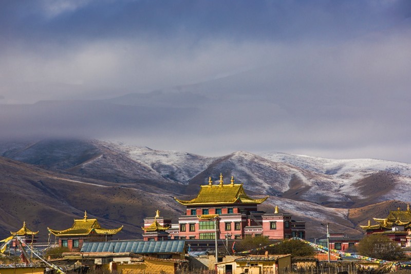 外出随拍（758）.