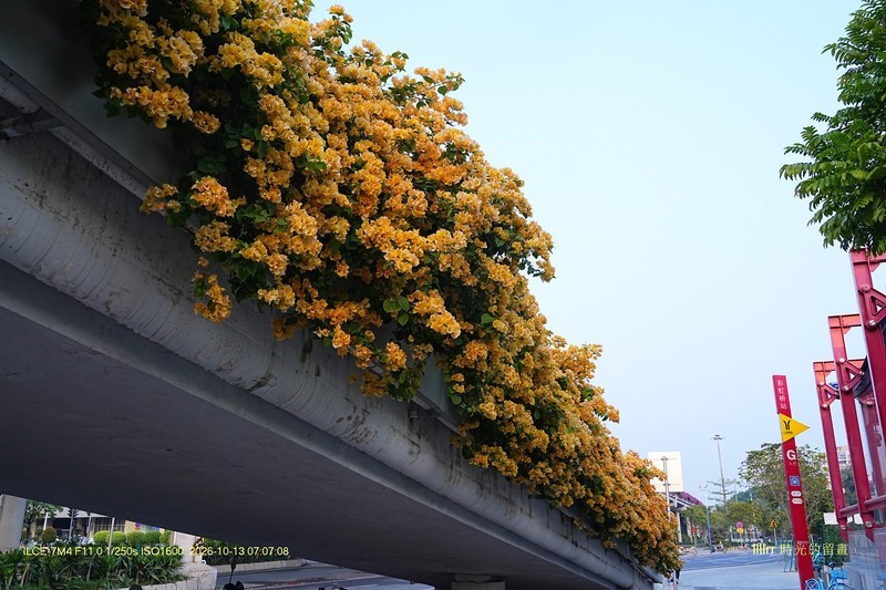 花城廣州之 天橋（四）