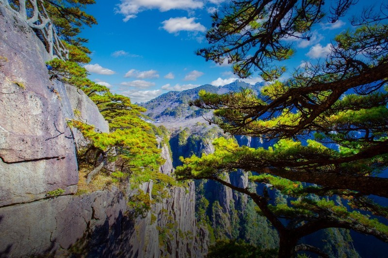 黄山风景54