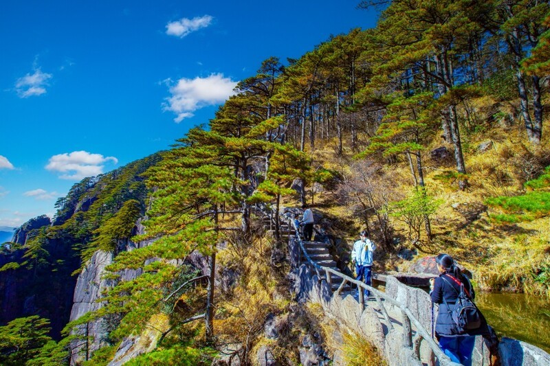 黄山风景54