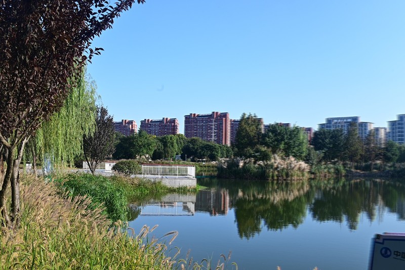 江东水生态湿地公园（续）
