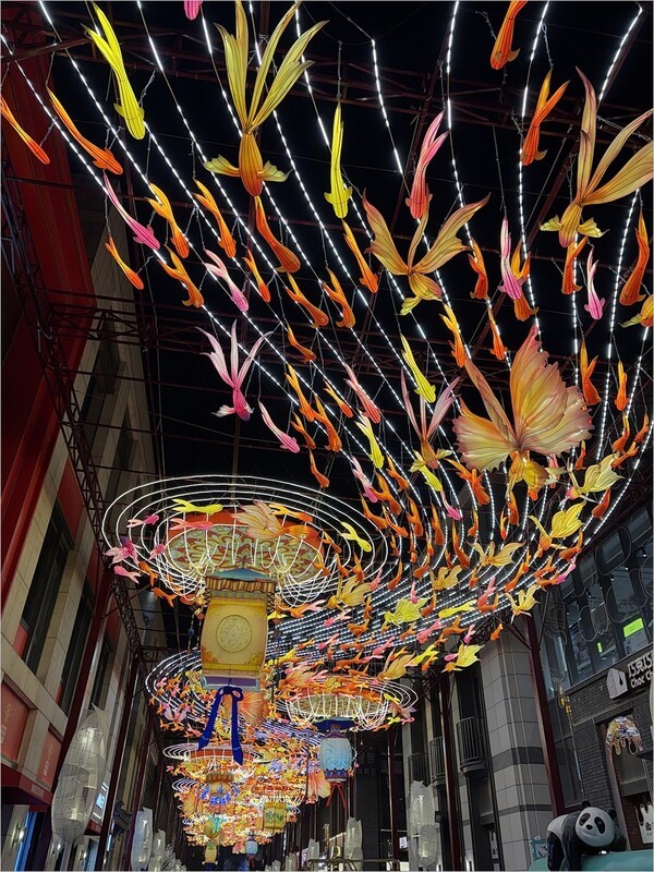 2026年-人文风光纪实抓拍-0226