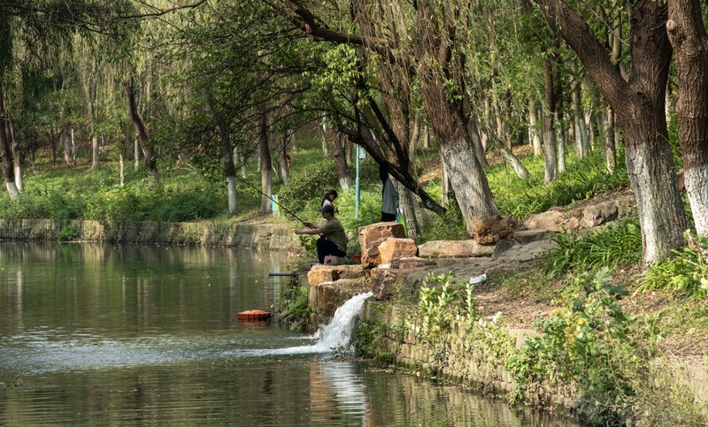 庐州印象（710）