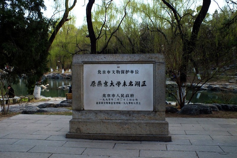 春天的北大校园