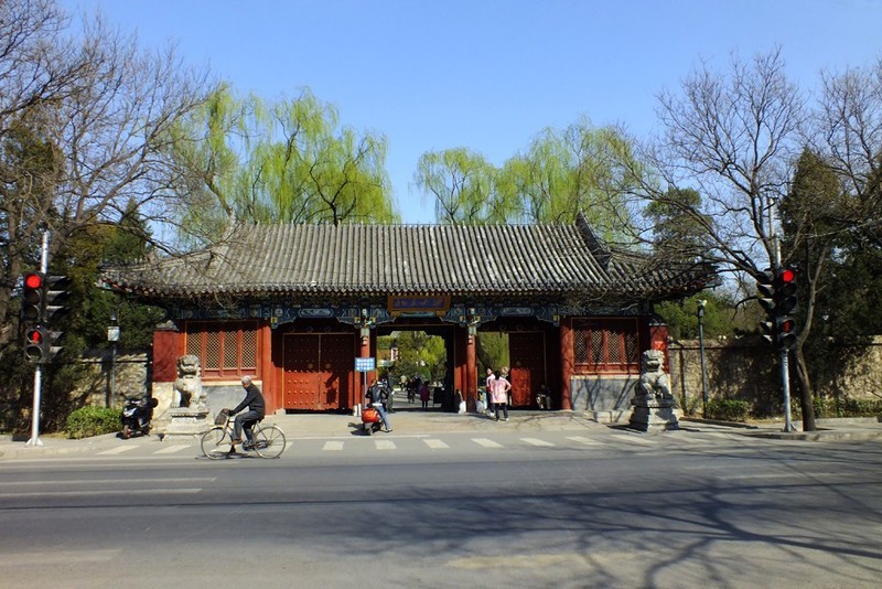 春天的北大校园