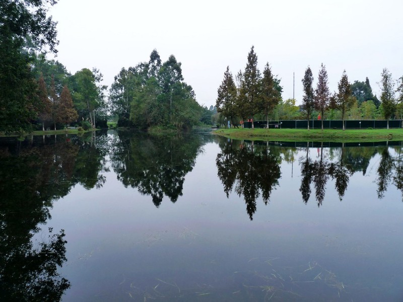 成都新津白鹤滩湿地公园掠影（二）
