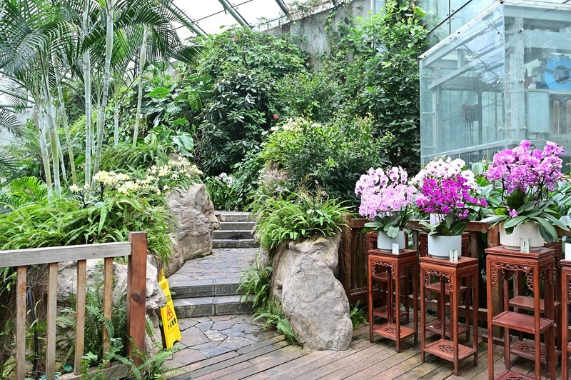 中科院中山植物园北温房