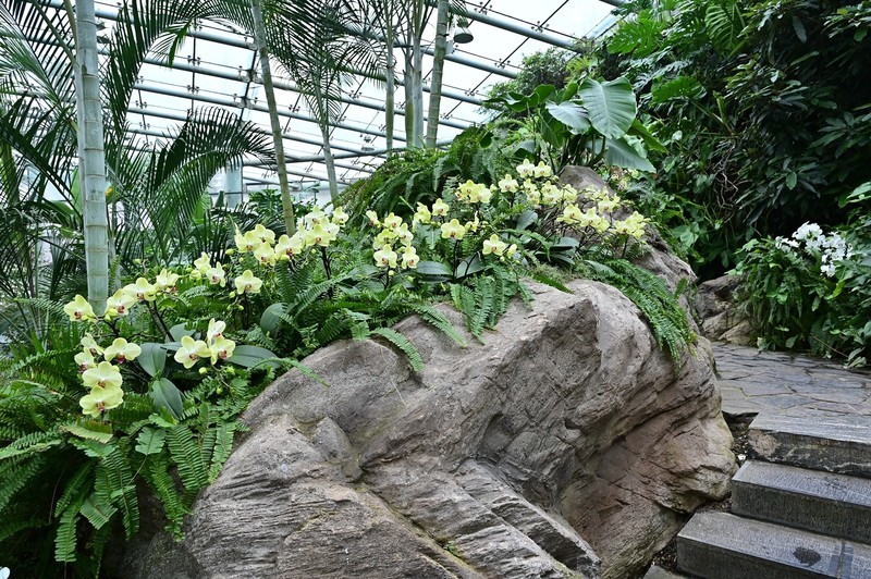 中科院中山植物园北温房