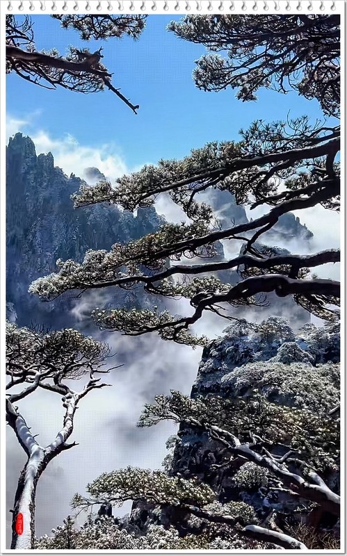 2026年-黄山风光纪实抓拍-0013