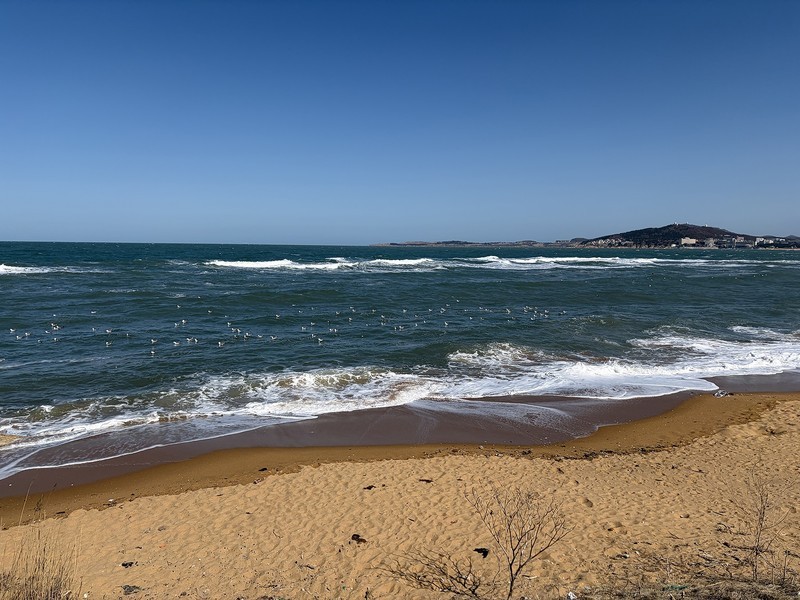 2026年-威海人文纪实拍-0232