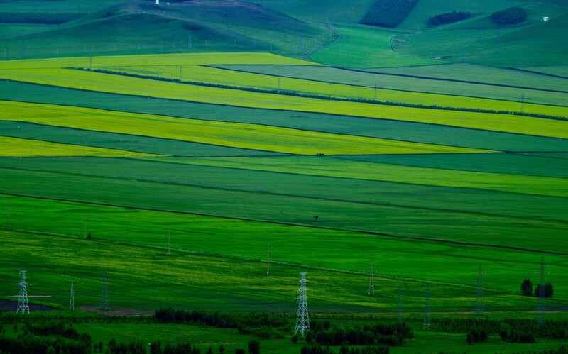 旅途中一一行走在国道G331中俄边境线上