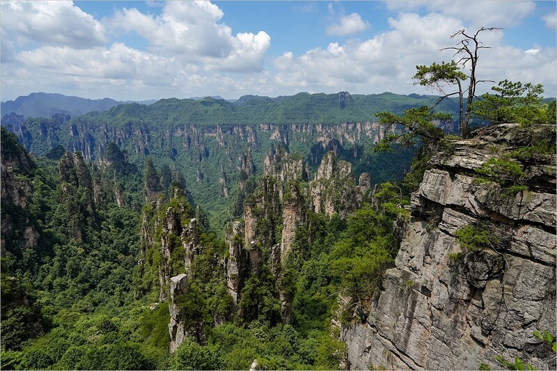 2026年第0017贴-张家界风光旅拍（0106）