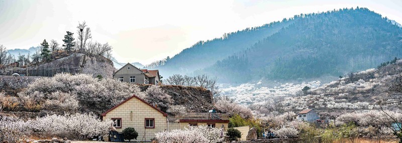 青岛崂山  西九水
