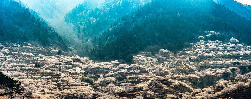 青岛崂山  西九水