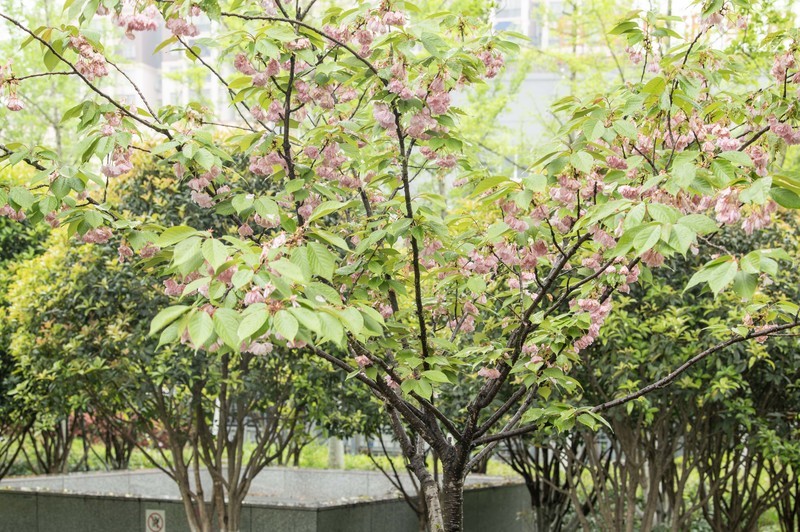 庐州印象（643）地铁站的风景