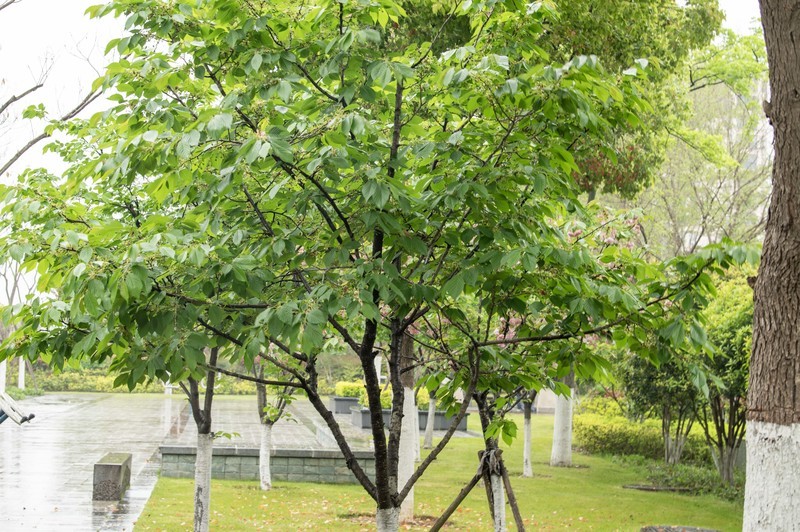 庐州印象（643）地铁站的风景