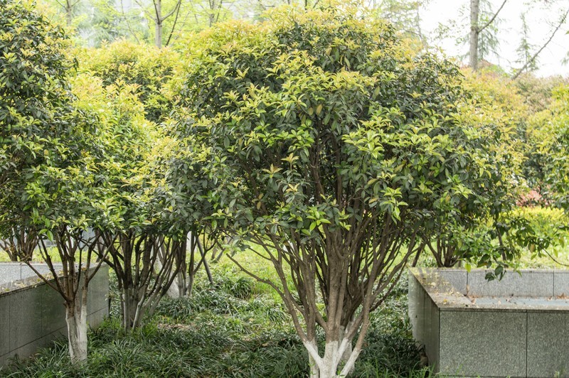 庐州印象（643）地铁站的风景