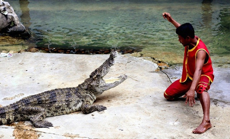 1321【不老松：纪实摄影】《异国风情录》三国演义：新加坡、马來西亚、泰国游记！(18)