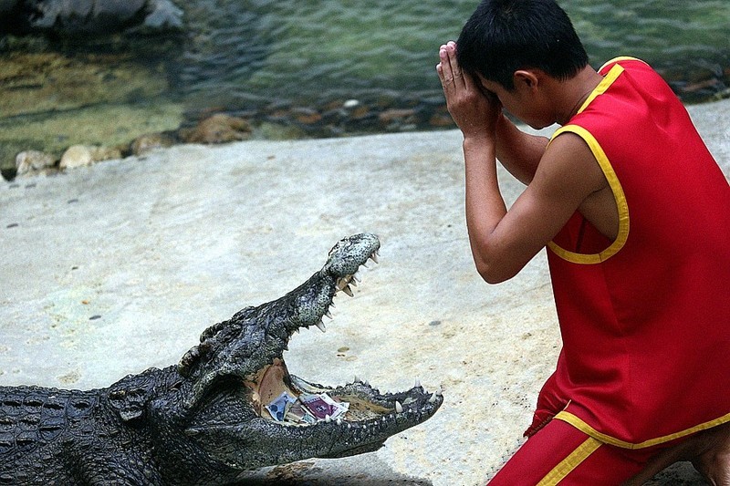 1322【不老松：纪实摄影】《异国风情录》三国演义：新加坡、马來西亚、泰国游记！(19)