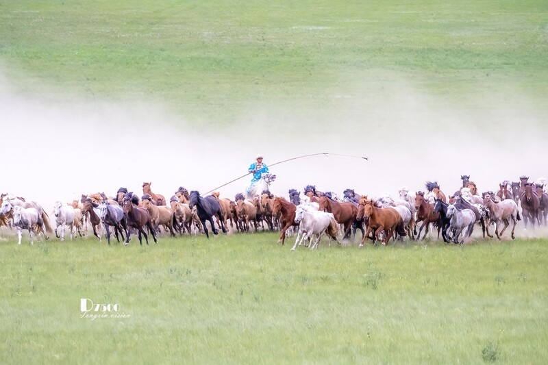 骏马驰骋（67）