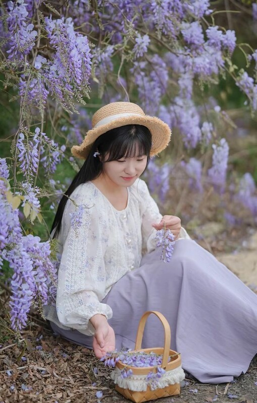 紫屿农场紫藤美极了3