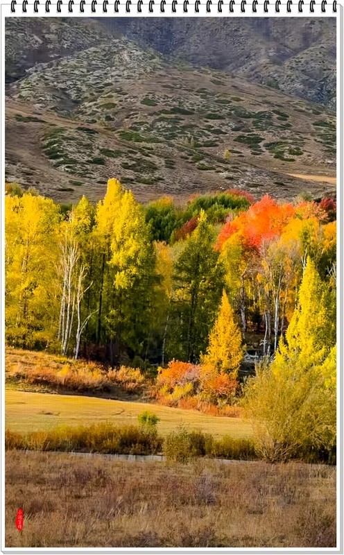 2025年- 新疆风光纪实抓拍-0907