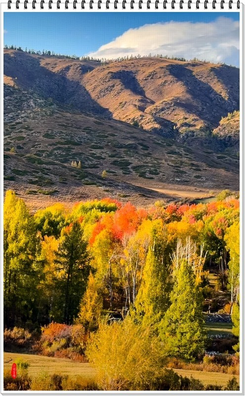 2025年- 新疆风光纪实抓拍-0907