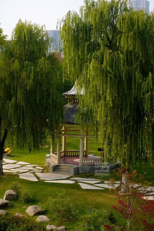 常青公园秋日4——武汉随笔