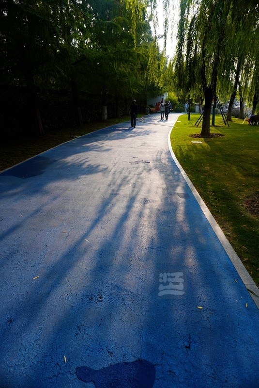 常青公园秋日4——武汉随笔