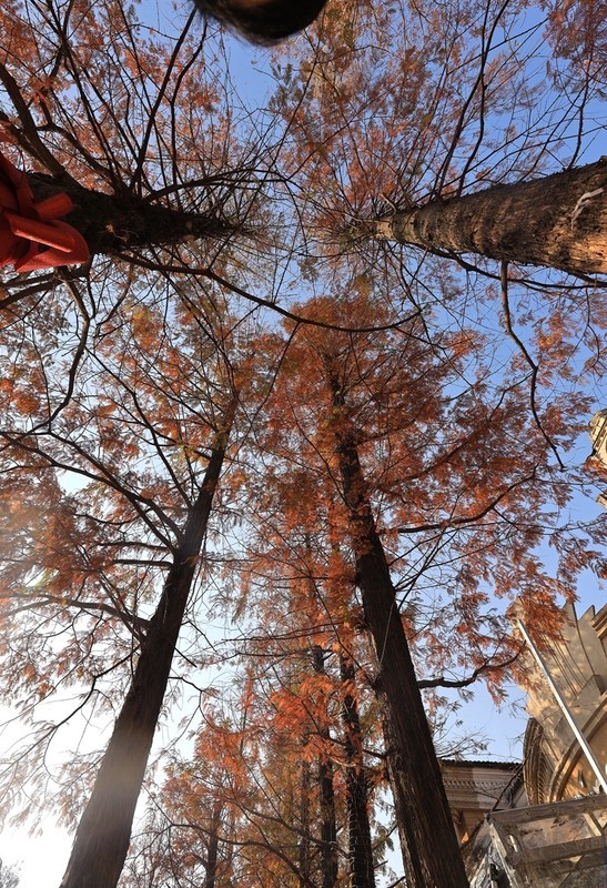 浏阳河婚庆广场