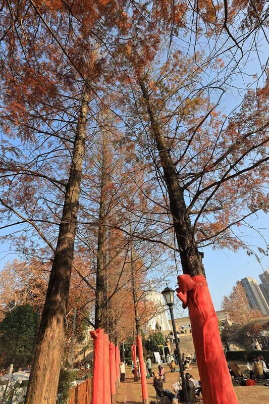 浏阳河婚庆广场