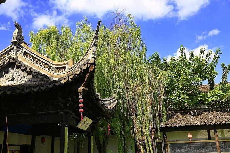 小景随拍（13）