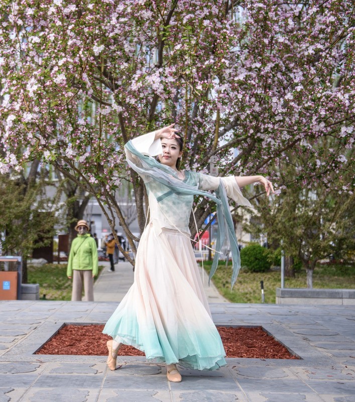 翩翩起舞的花仙子