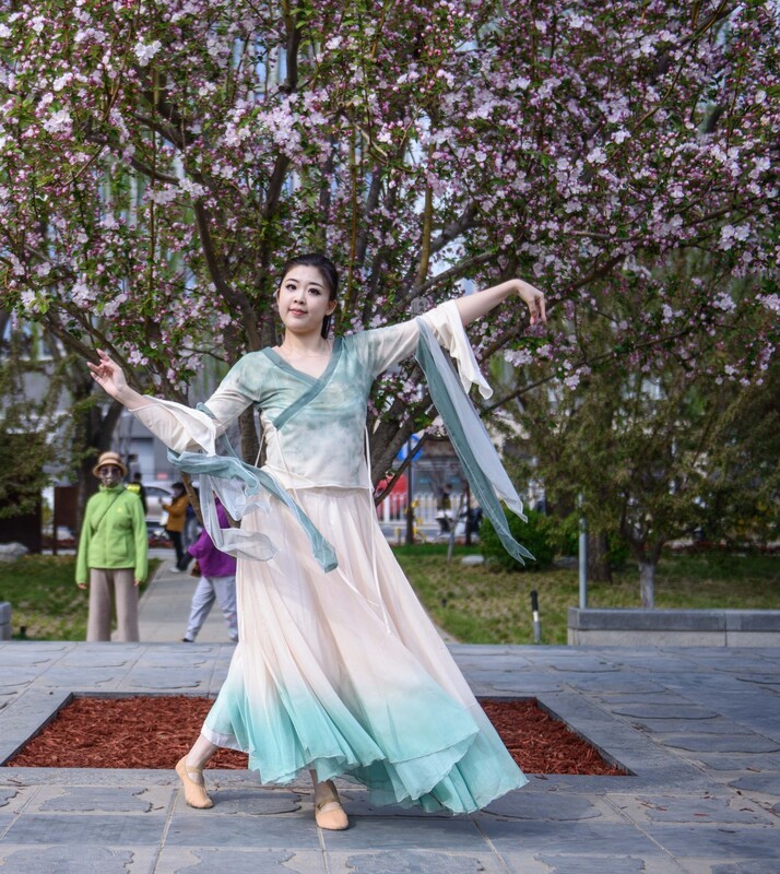 翩翩起舞的花仙子