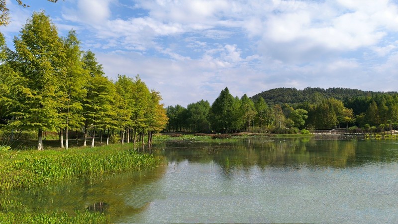 湖畔秋景