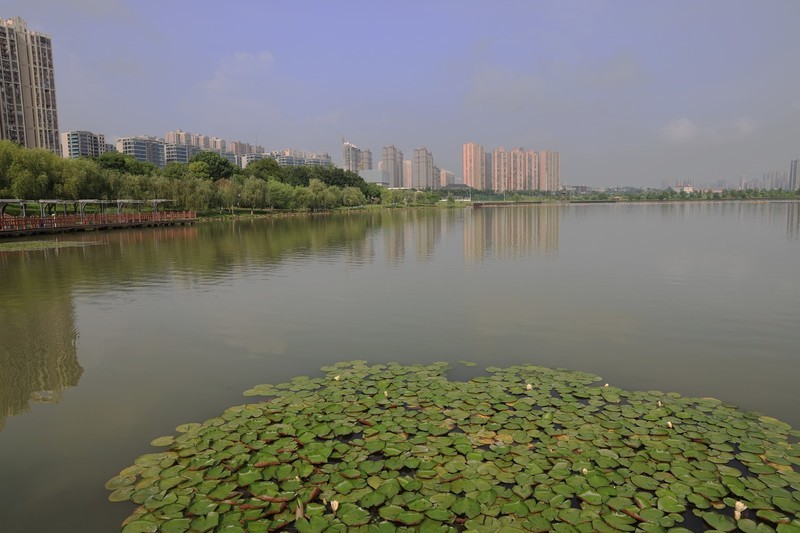 松雅湖湿地公园--1