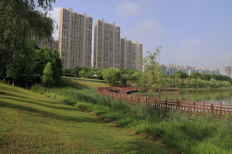 松雅湖湿地公园--1