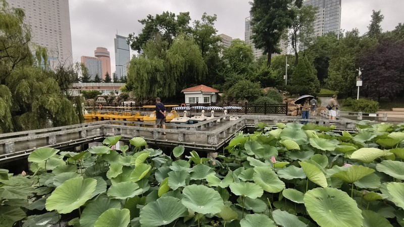 雨 中 劳 动 公 园