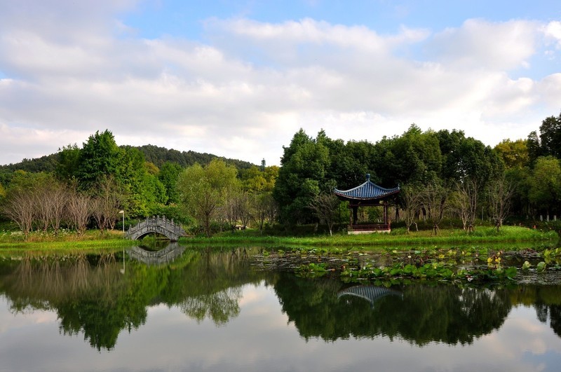 秋色渐浓