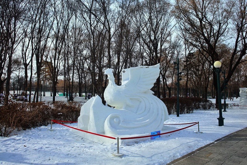 2026.2    太阳岛雪博会    3