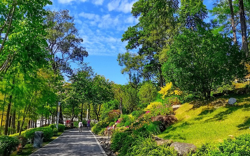 [26117] 云萝植物园（2）