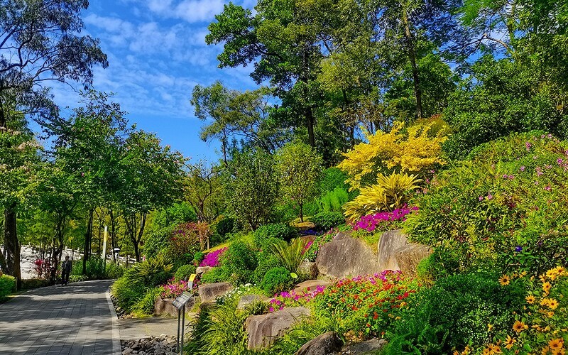 [26117] 云萝植物园（2）