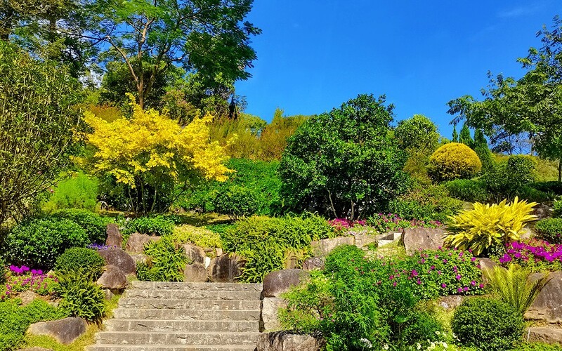 [26117] 云萝植物园（2）