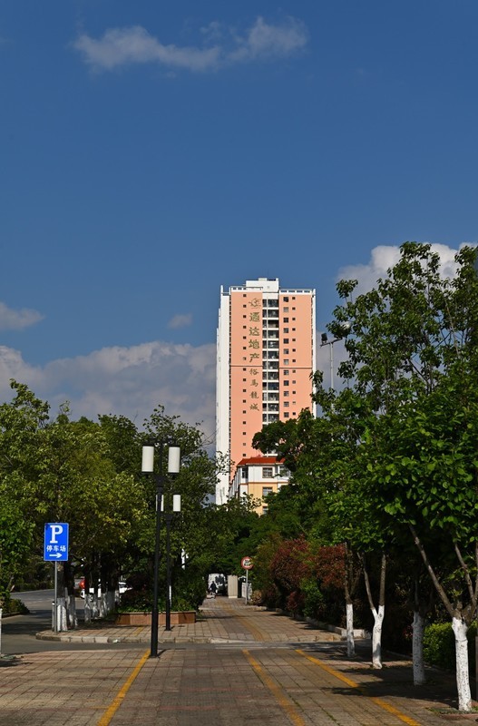 2026小城的春（肆拾叁）