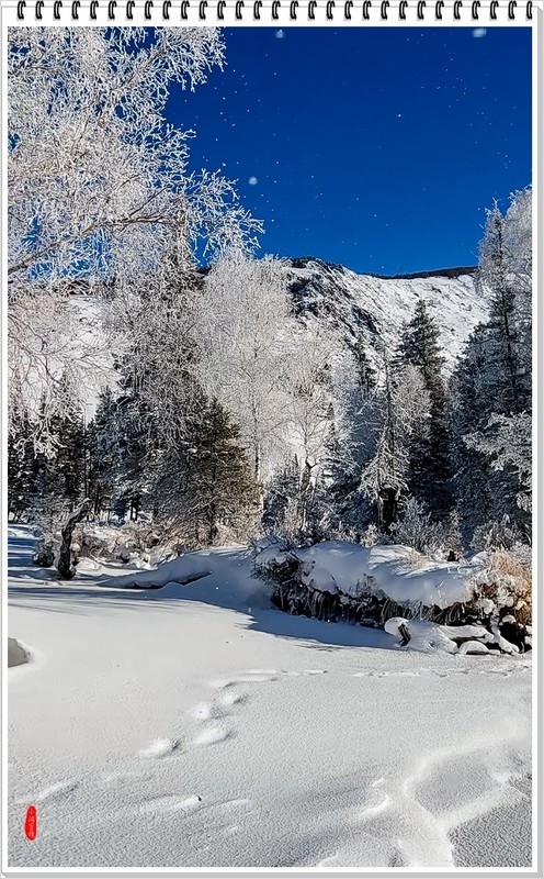 2026年-喀纳斯河风光纪实抓拍-0041