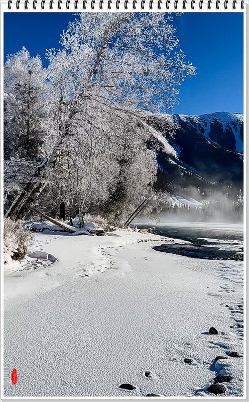 2026年-喀纳斯河风光纪实抓拍-0041